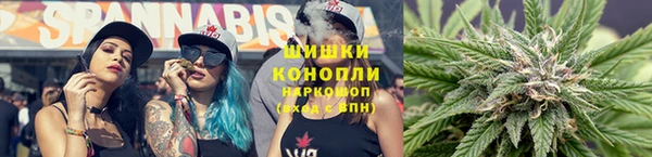 трава Михайловск