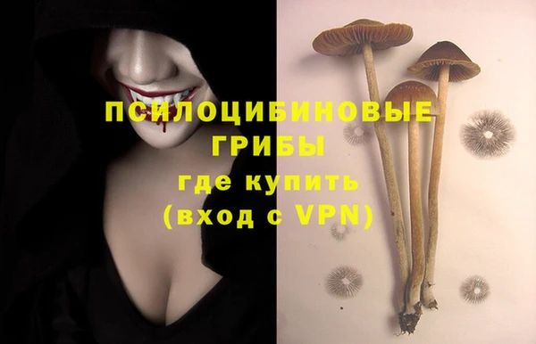 спиды Михайловка