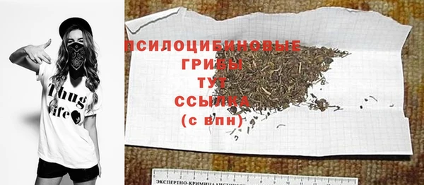 спиды Михайловка