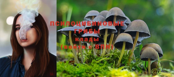 спиды Михайловка