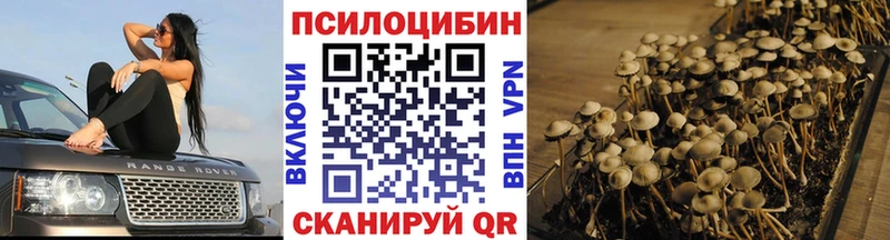 Галлюциногенные грибы Cubensis  Азнакаево 