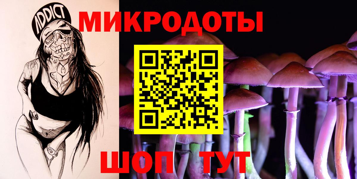 Псилоцибиновые грибы Psilocybine cubensis Азнакаево
