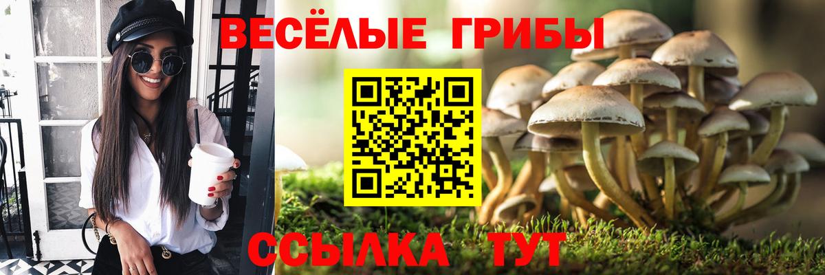 Псилоцибиновые грибы мицелий  Вход с VPN  Азнакаево 