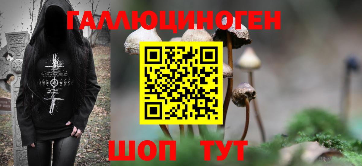 Азнакаево  Псилоцибиновые грибы Psilocybine cubensis  Вход с VPN 