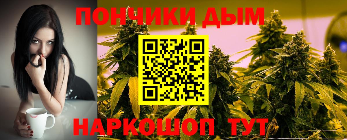 Бошки Шишки ГИДРОПОН Азнакаево
